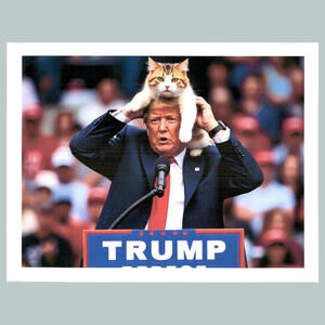 #0203  Trump My New Maga Hat 4x6 Version Glossy Photo Fast Ship